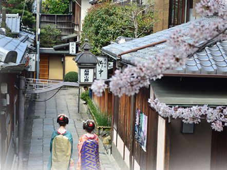 京都　舞妓プラン